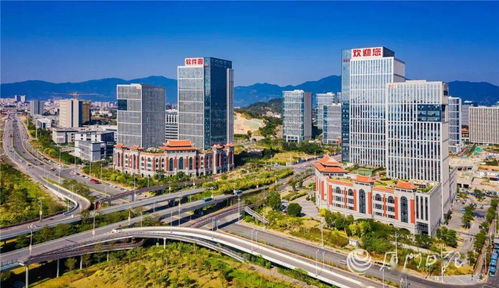厦门投资促进周报（08.07-08.13） 聚焦贸易新动能，推动高水平开放